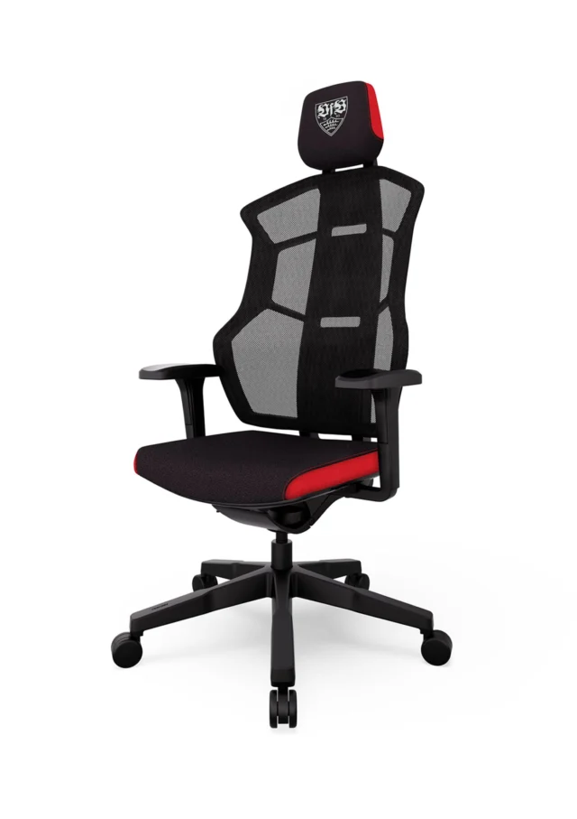 RECARO Aer VfB Stuttgart Edition Front Seitlich